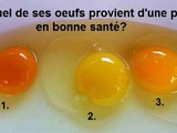 Selon vous, lequel des ces œufs provient d’une poule en bonne santé