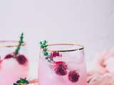 Gin tonic aux framboises