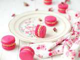 Macarons à la châtaigne cœur framboise