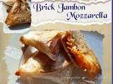 Bricks jambon mozzarella