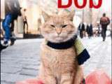 Chat des rues nommé Bob de James Bowen