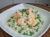 Risotto aux scampis