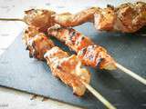 Brochette de poulet tandoori