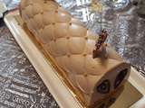 Bûche Praliné Abricot