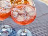 Martini Rosato & Tonic