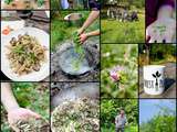 Pâtes aux plantes sauvages