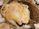 Poulet de ferme au foin en croûte de pain