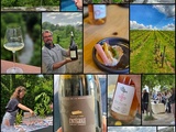 {Vin} Les Vin de Loire