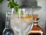 Gin tonic maison