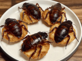 Crispy Fried Cockroach Donut Recipe for Halloween Treats