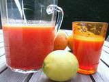 Jus de fruits frais gazéifié