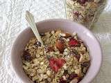 Muesli aux fruits rouges