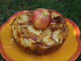 Clafoutis aux Nectarines