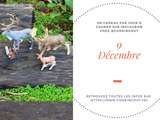 Animaux Papo – Concours calendrier de l’Avent hHygge