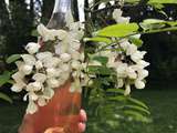 Sirop de fleurs d’acacia