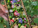 Tarte au sarrasin, légumes et fleurs