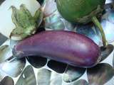 Vive l’aubergine, pleins d’idées pour la cuisiner