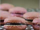 Macarons chocolat framboise