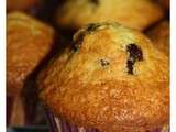 Muffins aux pépites de chocolat ou à la vanille et au pralin