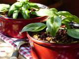 Clafoutis d’aubergines & tomates confites