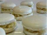 Macarons a la vanille bourbon : toutes les étapes pour les réussir