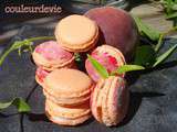 20 Mars 2015, 10 ème journée internationale des macarons