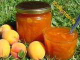 Confiture d’abricots