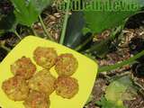 Croquettes de courgette