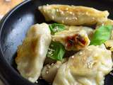 Gyozas aux légumes