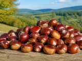 Conservation des Châtaignes : Astuces Et Techniques Incontournables
