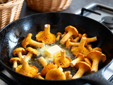 Cuisson de la chanterelle : astuces pour une poêlée parfaite