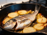 Gastronomique de poisson facile : 15 idées sublimes