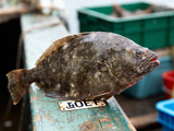Merlan de bœuf bio : Pourquoi choisir cette viande savoureuse