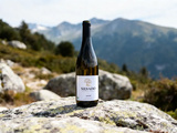 Silvado : le vin bio rare de Savoie à découvrir absolument