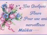 Joyeux Anniversaire Malikos