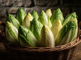 Tout savoir sur l’endive : bienfaits, culture et recettes