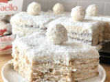 Dessert coco sans cuisson – Recette turc