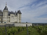 Tout savoir sur les vins du Val de Loire