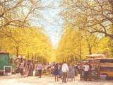 Brussels Food Truck Festival