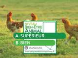 Vers l’étiquetage généralisé pour le bien-être animal