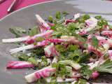 Salade de betterave crue, persil plat et citron