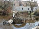 Balade en Brière