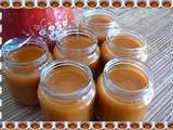 Coulis de tomates du jardin (au thermomix)