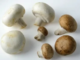 Champignons en cuisine