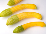 Courgette Zéphyr