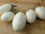 L’aubergine « à œuf », une curieuse variété ancienne