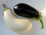 L’aubergine blanche