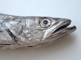 Merlu, un poisson à cuisiner