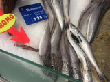 Poissons pas chers… et bons