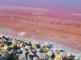 A la découverte de la fleur de Sel de Camargue